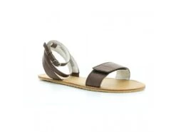 Angles Penelope Brown