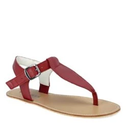 Angles Ares Burgundy