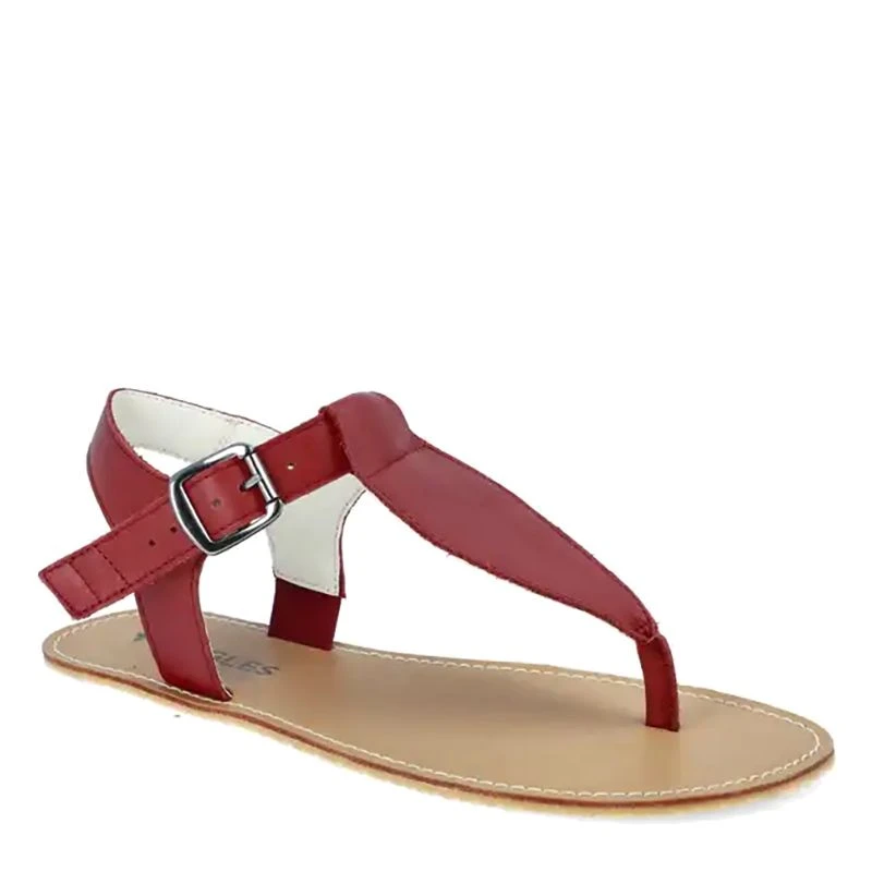 Angles Ares Burgundy 1 Angles Ares Burgundy