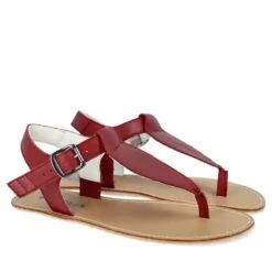 Angles Ares Burgundy 7 Angles Ares Burgundy -Fashion shoes ares burgundy 2